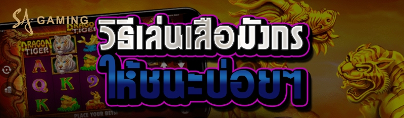 วิธีเล่นเสือมังกรให้ชนะบ่อยๆ