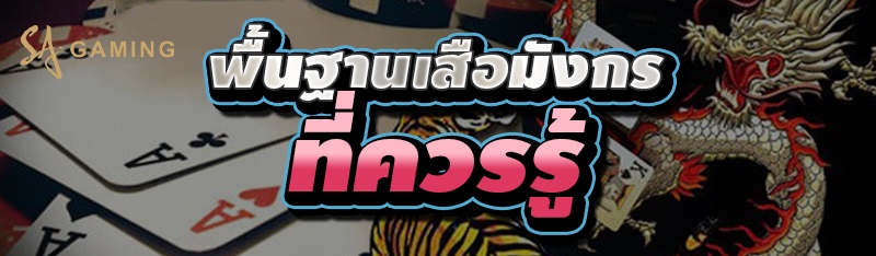 พื้นฐานเสือมังกร