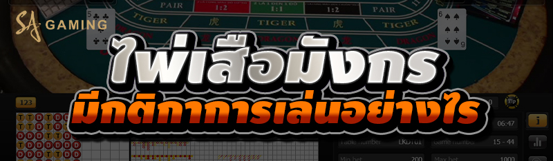 ไพ่เสือมังกร