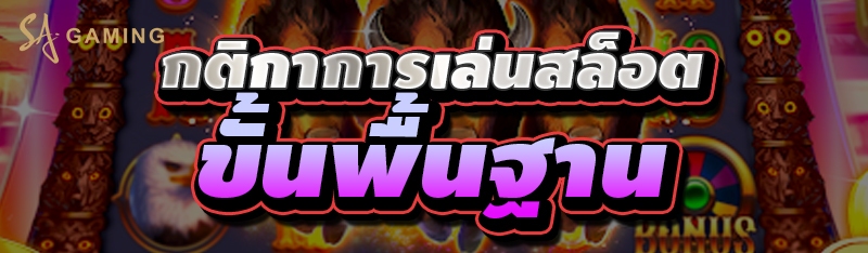 กติกาการเล่นสล็อต