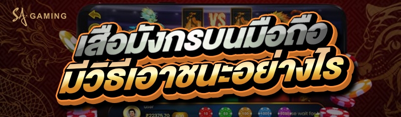 เสือมังกรบนมือถือ